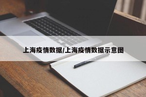 上海疫情数据/上海疫情数据示意图