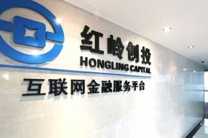 如何科学构建期权投资的风险管理体系？这种风险管理体系如何保障投资的稳健性和可持续性？