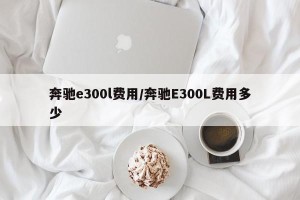 奔驰e300l费用/奔驰E300L费用多少