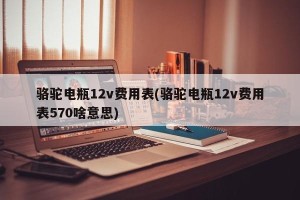 骆驼电瓶12v费用表(骆驼电瓶12v费用表570啥意思)