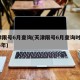 天津限号6月查询(天津限号6月查询时间2024年)