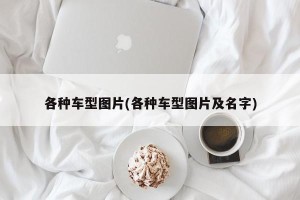 各种车型图片(各种车型图片及名字)