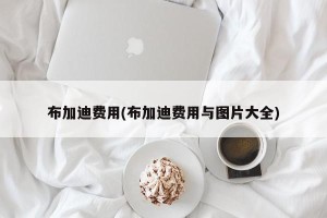 布加迪费用(布加迪费用与图片大全)