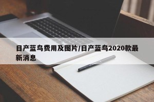 日产蓝鸟费用及图片/日产蓝鸟2020款最新消息