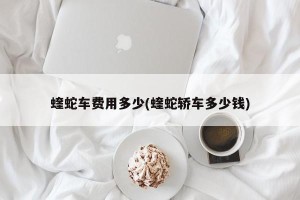 蝰蛇车费用多少(蝰蛇轿车多少钱)