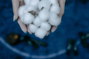 如何利用上证所期权进行投资？上证所期权的交易规则和特点是什么？